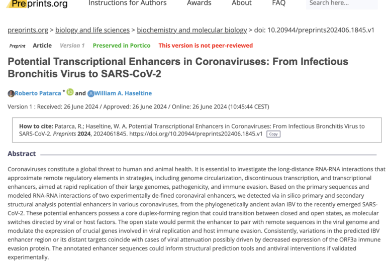 Potential Transcriptional Enhancers in Coronaviruses: From Infectious Bronchitis Virus to SARS-CoV-2